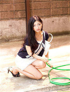 电视剧女人帮全集